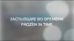 Выставка Дианы Тафт "Застывшие во времени", Москва