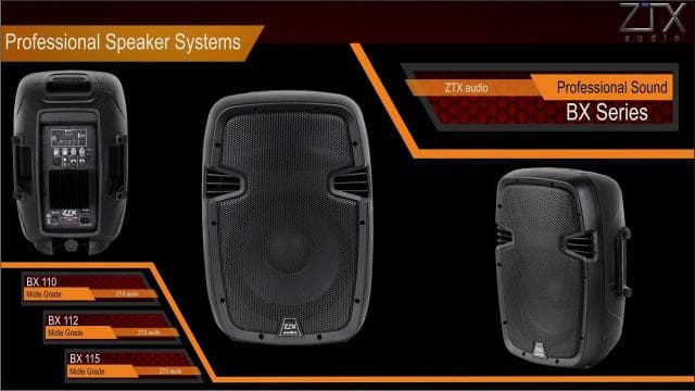 Акустика ZTX audio BX-115