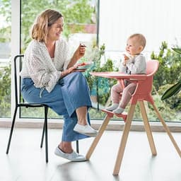 Стульчик для кормления ребенка Stokke Clikk
