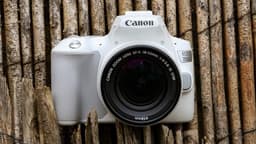 Фотоаппарат Canon EOS 250D