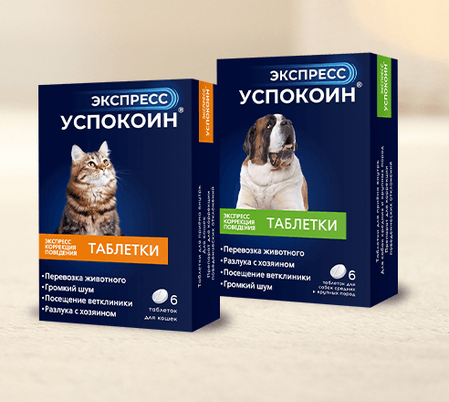 Экспресс Успокоин