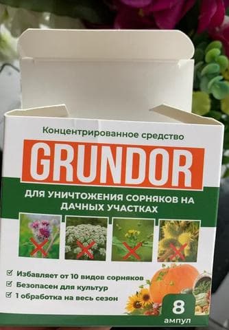 Грундор