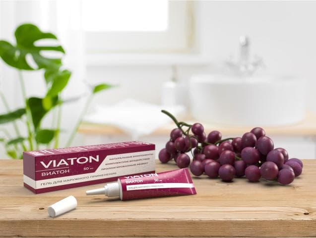 Виатон (Viaton)