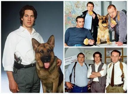 Сериал "Комиссар Рекс" (1994)