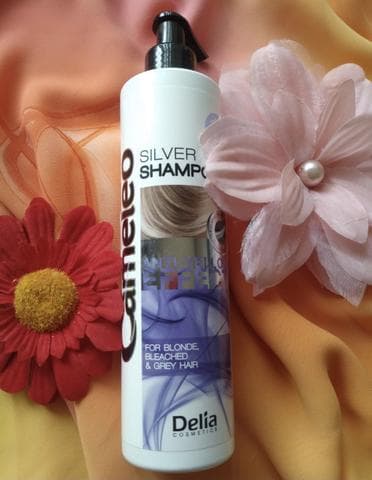 Шампунь Delia Cosmetics Cameleo Silver