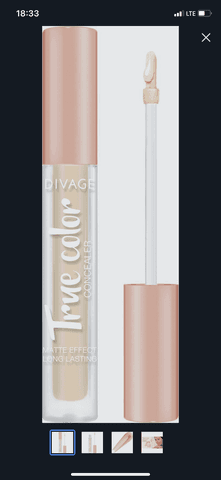 Консилер Divage True Color