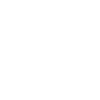 LIM GROUP