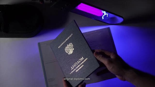Originalnie-diplomsy24