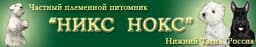 Питомник Никс Нокс, Нижний Тагил