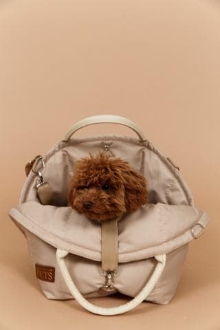 Автокресло для собак ForPets