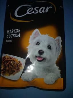 Жаркое с уткой в желе. Cesar.