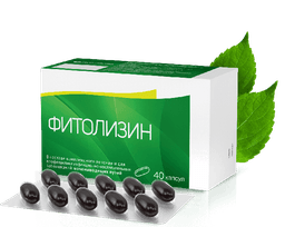 Фитолизин капсулы