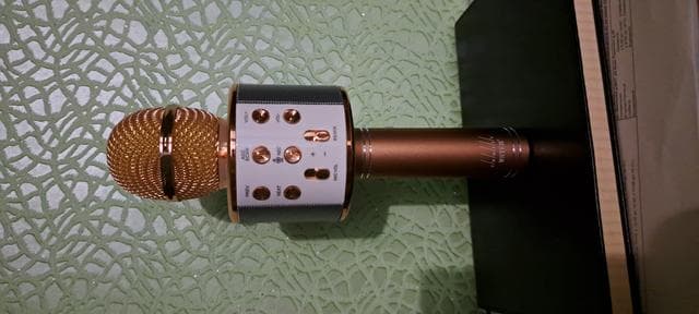 Микрофон АксеСтор Wster-858