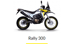 Мотоцикл VOGE 300 Rally