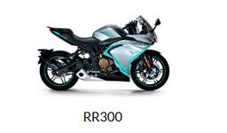Мотоцикл VOGE RR300
