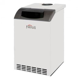 Котел газовый Ferroli Pegasus D