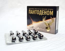 Пантоденом