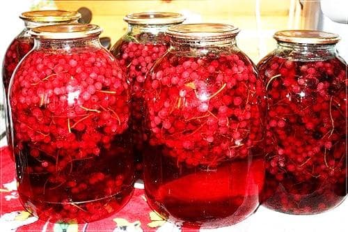 Красная смородина — фото из отзыва «Вкусно-сладкий коктейль»
