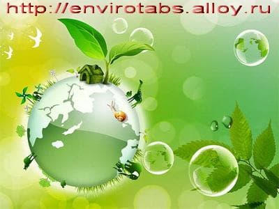 EnviroTabs — фото из отзыва «Экономия топлива+сохранение экологии» (5 из 5)