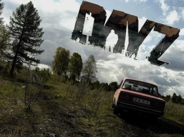 Arma 2 Day Z — фото из отзыва «Збс» (3 из 3)