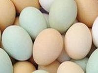 Яйца — фото из отзыва «Уважаемый мной продукт»