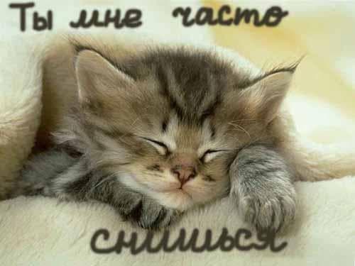 Все - — фото из отзыва «Оболдеть»