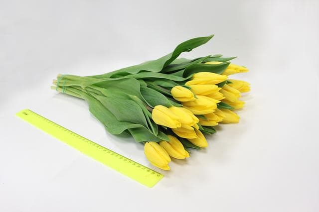BPFlora, Москва — фото из отзыва «Достойно»