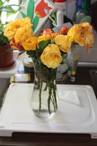 Магазин "Fit-flowers.ru" — фото из отзыва «Полный отстой»