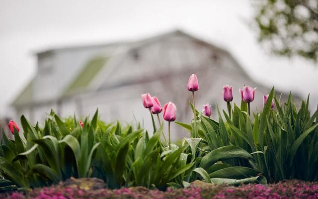 BPFlora, Москва — фото из отзыва «Работают с физическими лицами»