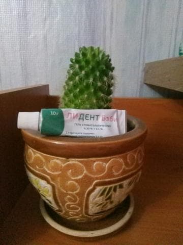 Лидент бэби — фото из отзыва «Спасение!»