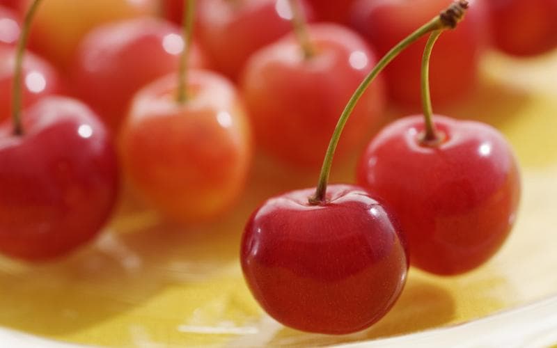 Вишня — фото из отзыва «Вкусные но кислые ягода»