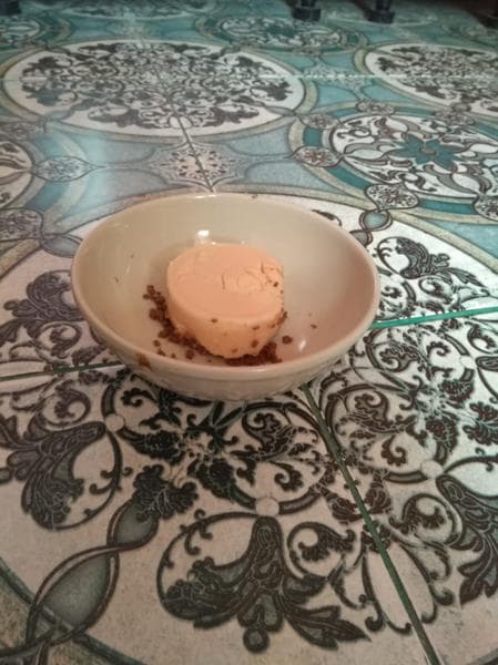 Консервы для кошек Prime Ever — фото из отзыва «Лучшие мясные консервы для кошек»