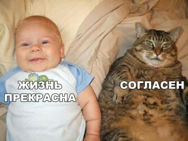 Телефон Apple iPhone 5 — фото из отзыва «Уламс» (1 из 2)