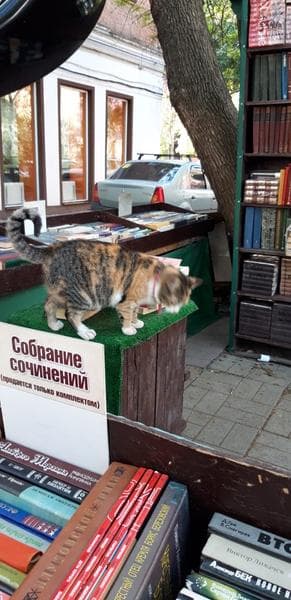 Зеленый горошек Грин Рей — фото из отзыва «Качественный продукт»