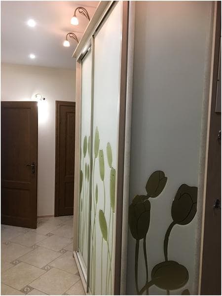 Шкаф-купе Мебель Москва — фото из отзыва «Купить шкаф-купе у этой компании было отличным решением» (9 из 10)