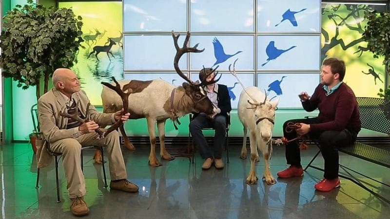 Передача "В мире животных", Первый — фото из отзыва «Все о жизни животных на планете.» (4 из 5)