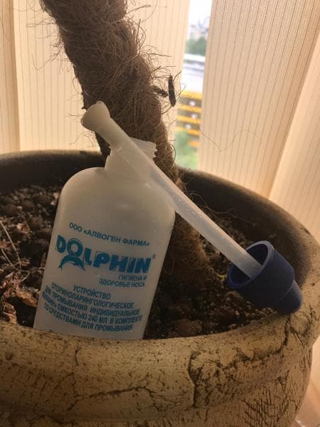 Долфин (Dolphin) — фото из отзыва «Как я избавилась о насморка и микробов с Долфином» (2 из 2)