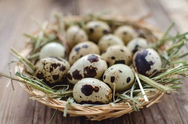 Яйца перепилинные — фото из отзыва «Очень нежные на вкус.»