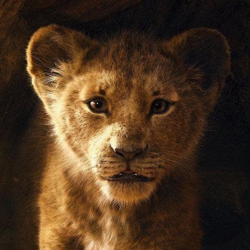 Фильм "Король Лев" (2019) — фото из отзыва «Прыжок в детство...»