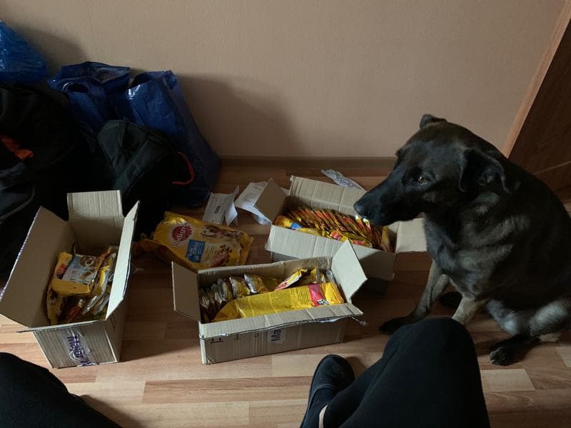 Запас кормов Pedigree на 2 недели — фото из отзыва «Лучше корма по соотношению цена - качество нет»