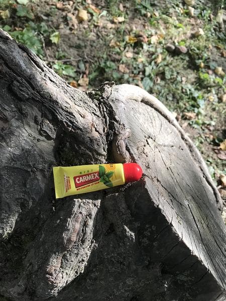 Бальзам для губ Carmex  — фото из отзыва «Пою оду своему любимчику»