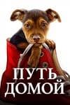 Фильм "Путь домой" (2019) — фото из отзыва «Очень интересный фильм»