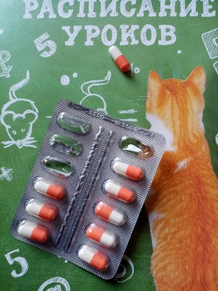 Цитовир-3 капсулы — фото из отзыва «Очень боюсь заболеть Коронавирусом. Принимаю все меры, чтобы» (2 из 3)