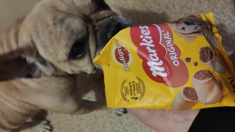 Запас кормов Pedigree на 2 недели — фото из отзыва «Отлично»
