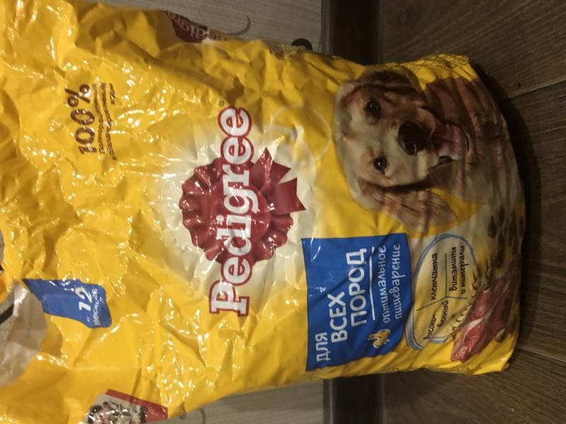 Корм для собак Pedigree — фото из отзыва «Если животное без особенностей-то корм идеально подходит!» (2 из 2)