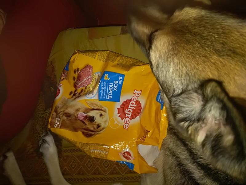 Запас кормов Pedigree на 2 недели — фото из отзыва «Шикарный подарок.» (3 из 3)