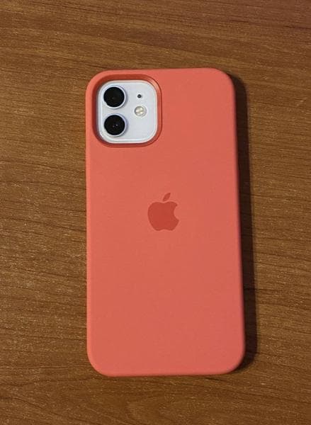 Телефон Apple 12 Pro Max — фото из отзыва «, Камера. Широкоугольная, умеет делать ночные фото/вид»