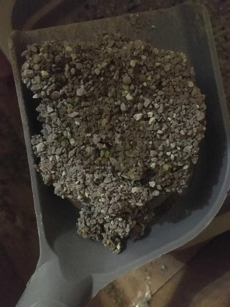 Комкующийся наполнитель КОТЯРА — фото из отзыва «Котяра довольна Котярой»