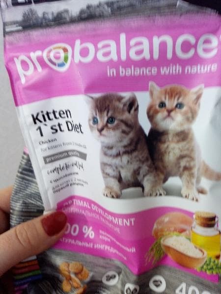 Для котят сухой probalance — фото из отзыва «Отличный корм» (1 из 2)