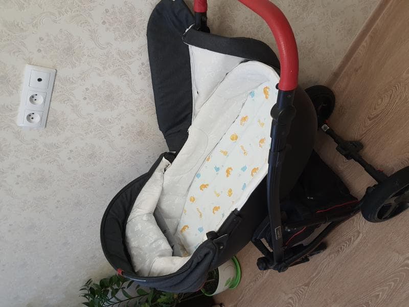 Коляска Coletto Modena 3 в 1 — фото из отзыва «Коляска то, что надо!» (2 из 2)